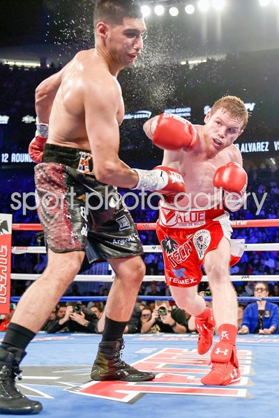 Canelo Alvarez knock out punch v Amir Khan 2016