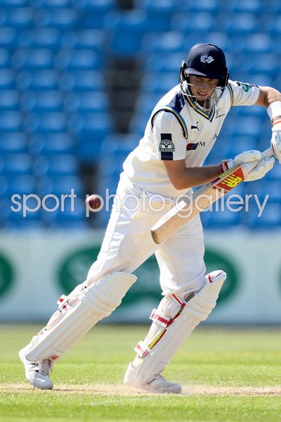 Joe Root Yorkshire v Surrey County Championship 2016