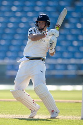 Joe Root Yorkshire v Surrey County Championship 2016