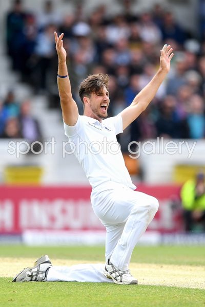 Steven Finn England v Sri Lanka Headingley Test 2016