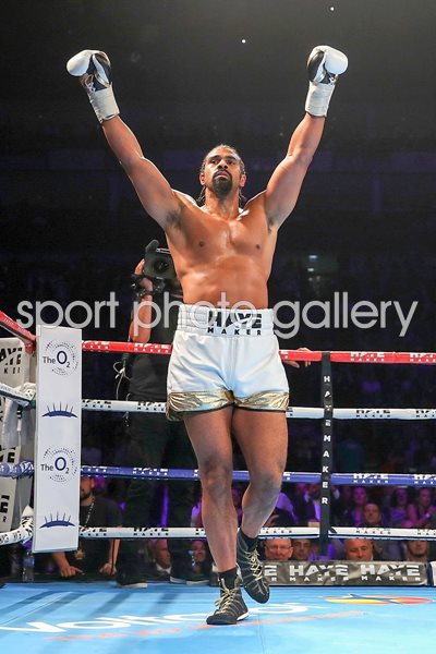 David Haye v Arnold Gjergjaj O2 London 2016