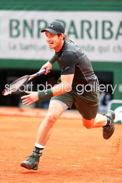 Andy Murray 2016 French Open Paris