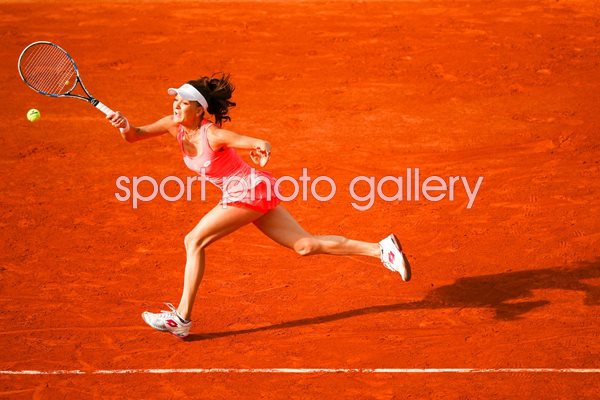Agnieszka Radwanska forehand 2016 French Open 