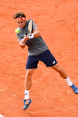 David Ferrer Czech Republic French Open 2016