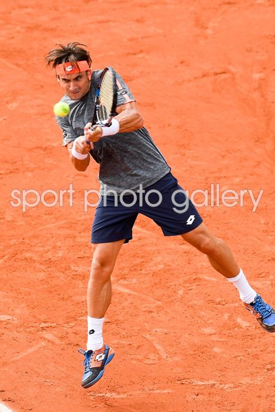 David Ferrer Czech Republic French Open 2016