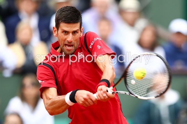 Novak Djokovic French Open Final Paris 2016