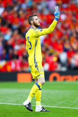 David de Gea Spain v Czech Republic Toulouse 2016