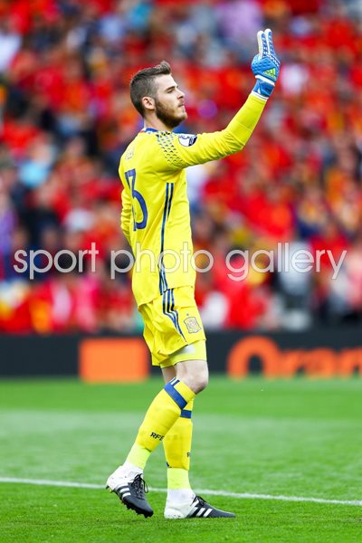 David de Gea Spain v Czech Republic Toulouse 2016