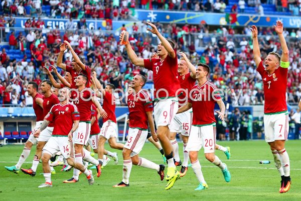 Hungary Group F Winners Europeans 2016