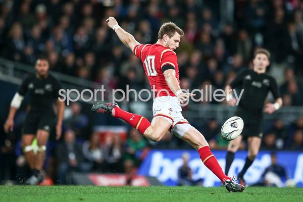 Dan Biggar Wales v New Zealand Dunedin 2016