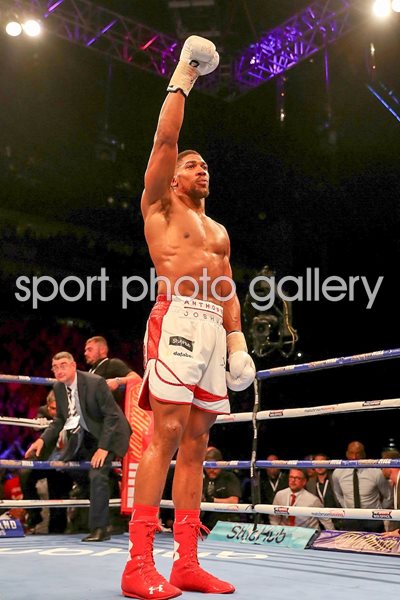 Anthony Joshua defends IBF World Heavyweight Title 2016