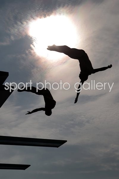 14th FINA World Championships