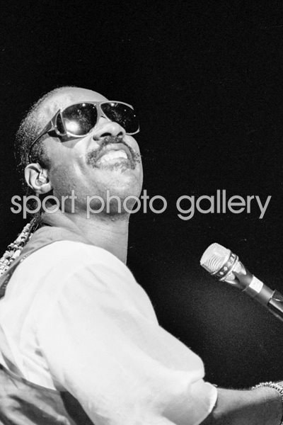 Stevie Wonder in concert 1983