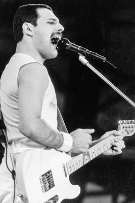 And Freddie Played Guitar.