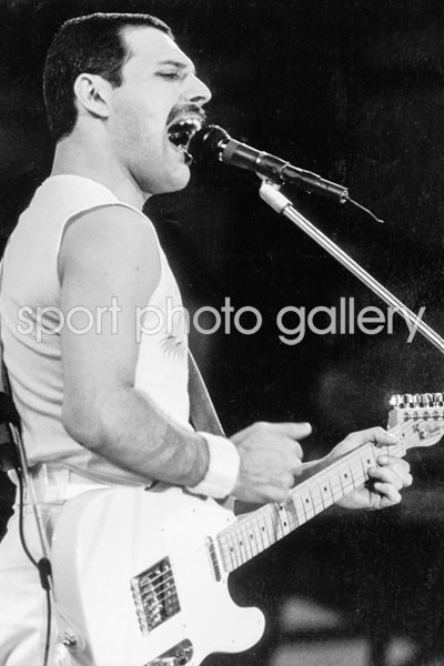 And Freddie Played Guitar.