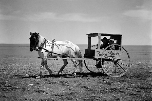 Boys in wagon