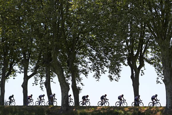 Peloton Montelimar Tour de France 2016