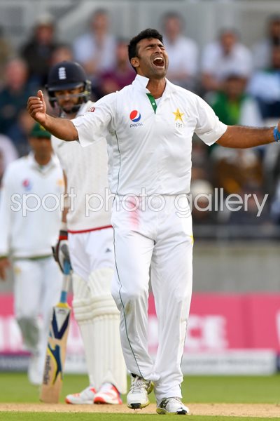 Sohail Khan Pakistan 5 wickets v England Edgbaston 2016