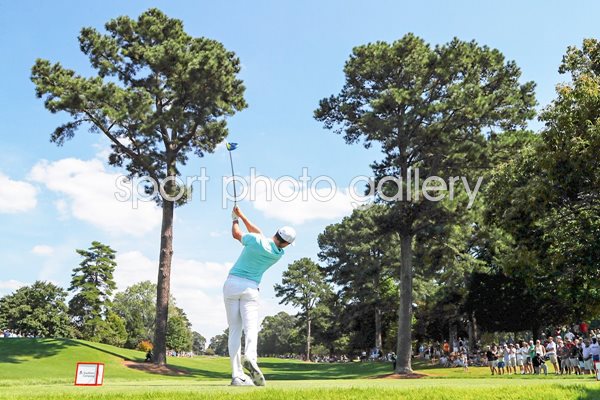  Rory McIlroy Tour & Fed Ex Cup Champion 2016