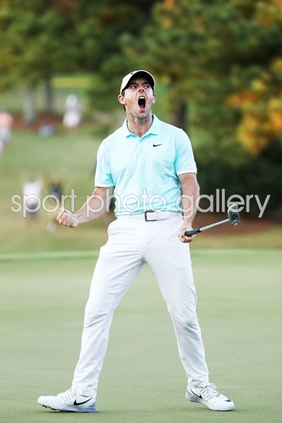  Rory McIlroy Tour & Fed Ex Cup Champion 2016