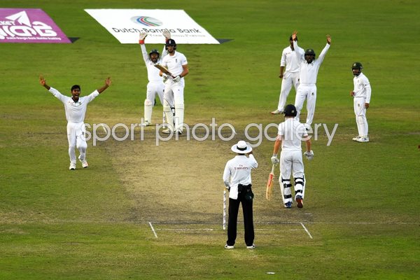 Mehedi Hasan Bangladesh v England Dhaka 2016