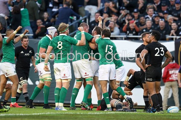 Robbie Henshaw Ireland scores v New Zealand 2016