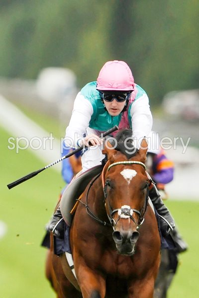 Frankel wins Sussex Stakes Goodwood 2012