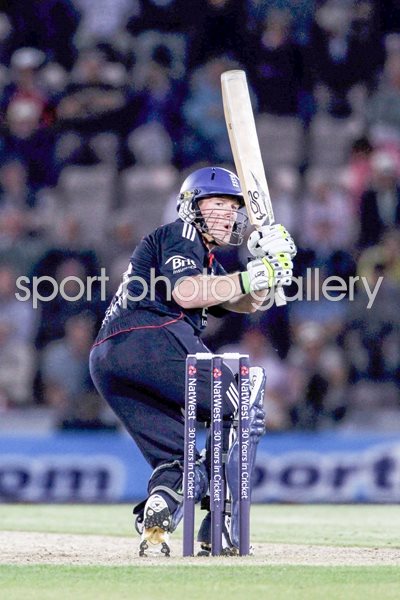 Eoin Morgan action v Australia - ODI 2010