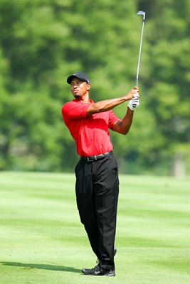 Tiger Woods World Golf Championships 2011