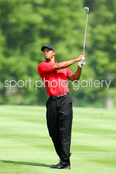 Tiger Woods World Golf Championships 2011