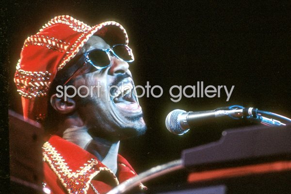 Stevie Wonder in concert
