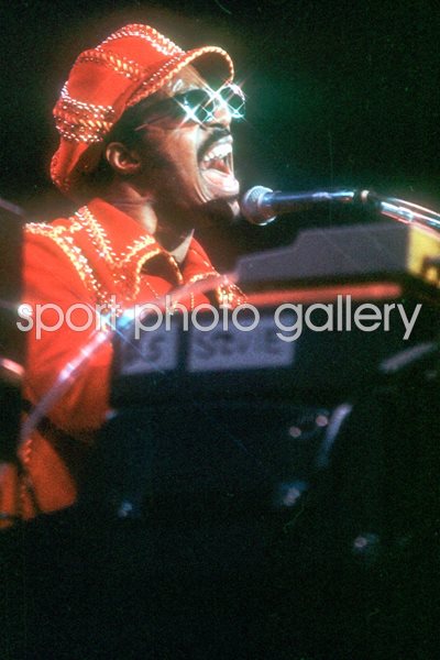 Stevie Wonder on stage