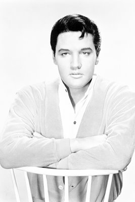 Elvis Presley seated portrait