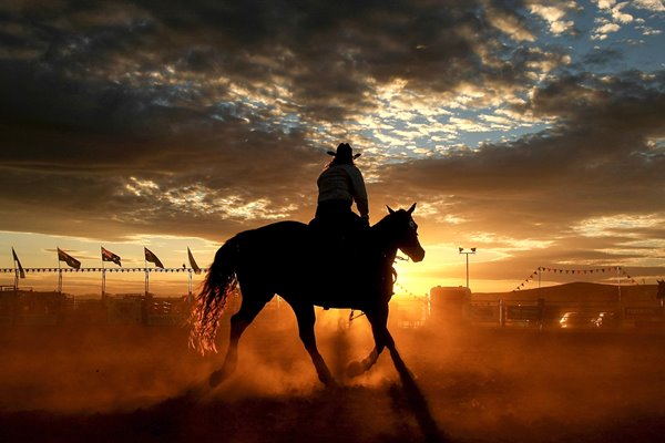 Rodeo Weekend In Merrijig And Chiltern