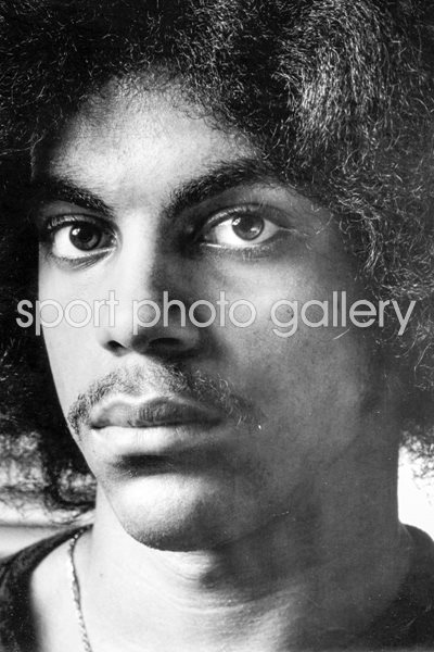 Prince Close Up