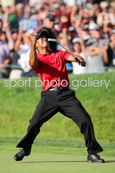 Tiger Woods Putt 2008 US Open Torrey Pines Acrylic, Posters & Arts Prints