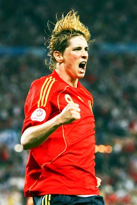 Fernando Torres celebrates Euro 2008 winner