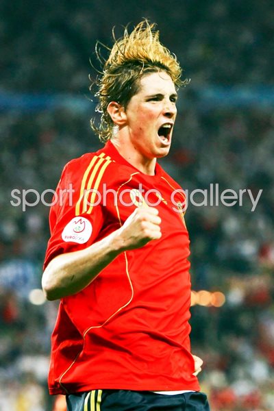 Fernando Torres celebrates Euro 2008 winner