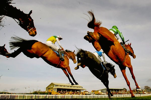 Tony McCoy & Gone to Lunch jump last at Hereford 2008