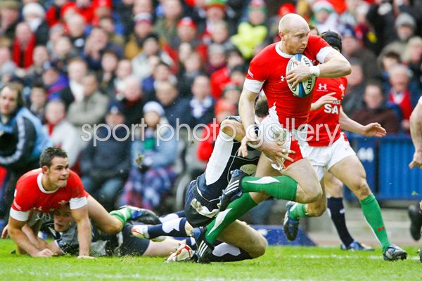Tom Shanklin dives over to score v Scotland 2009
