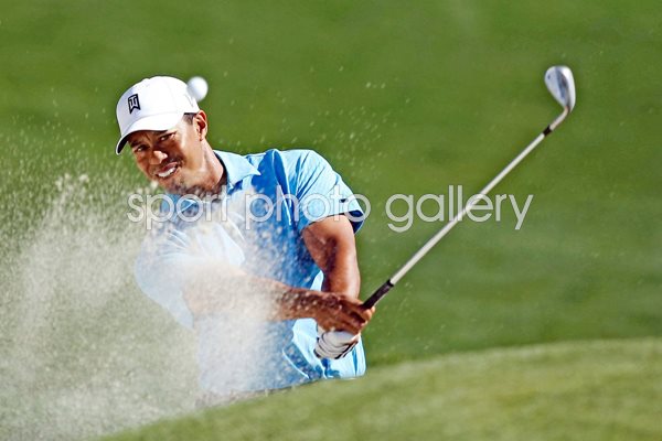 2009 Tiger blasts from Arizona sand 