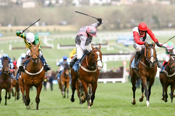 Barry Geraghty and Punjabi win Champion Hurdle 2009