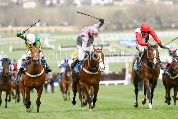 Barry Geraghty and Punjabi win Champion Hurdle 2009