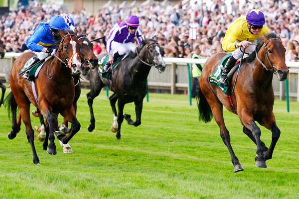 Sea the Stars wins 2000 Guineas 2009