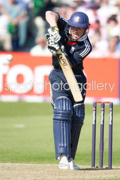Eoin Morgan England ODI action May 2009
