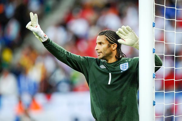 David James v Slovenia 