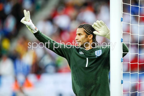 David James v Slovenia 