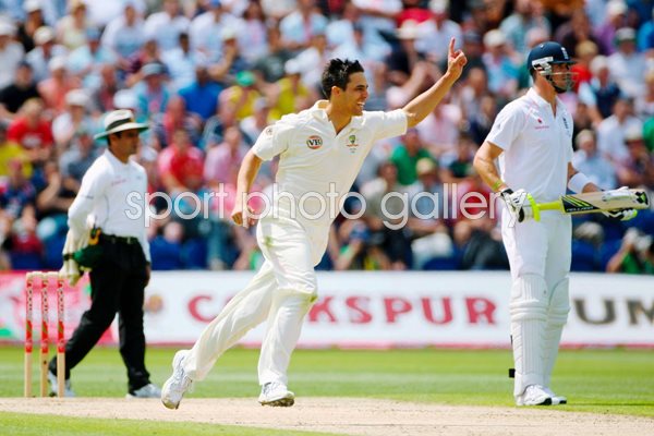 Mitchell Johnson celebrates - Cardiff - Ashes 2009