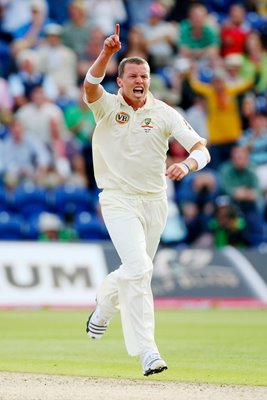 Peter Siddle celebrates - Cardiff - Ashes 2009