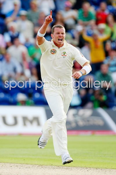 Peter Siddle celebrates - Cardiff - Ashes 2009